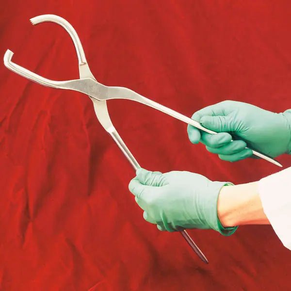 Hufuntersuchungszange - Servoprax